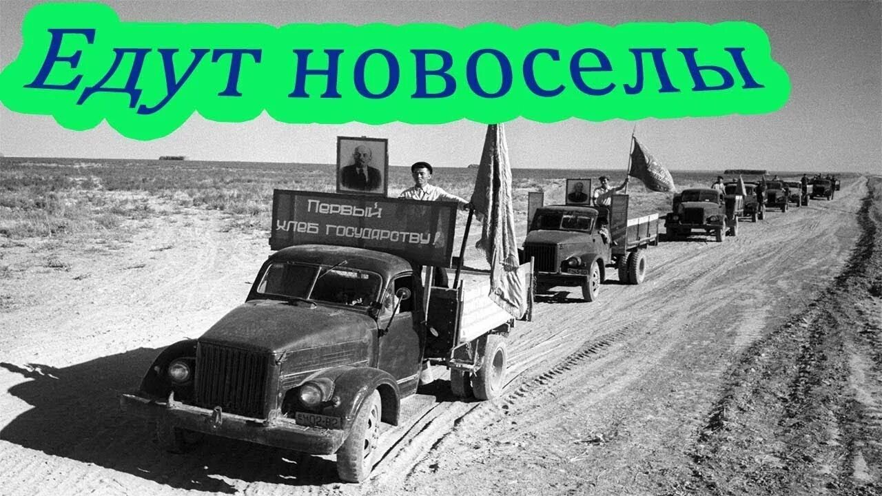 Едут новоселы. Едут новоселы по земле Целинной. Едут новоселы песня. Целина плакаты. Песня еду на родину к корешам слушать