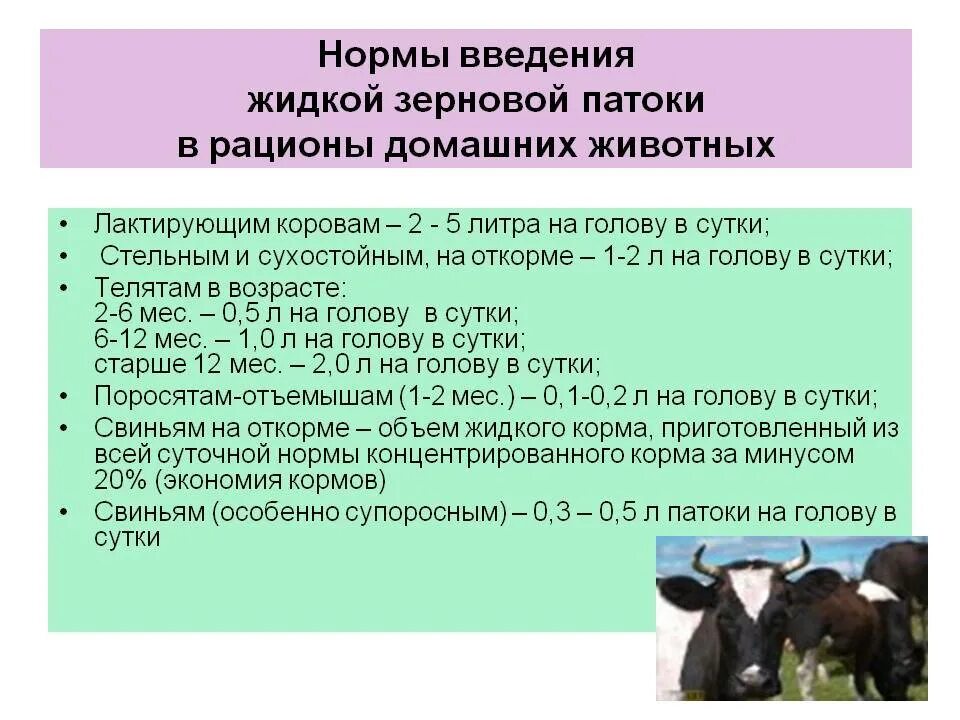 Рацион питания сельскохозяйственных животных. Нормы ввода в рацион коров. Составление рационов для животных. Нормы кормления в сутки сельскохозяйственных животных. Можно давать корове сырой