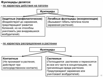 Фунгицидное действие