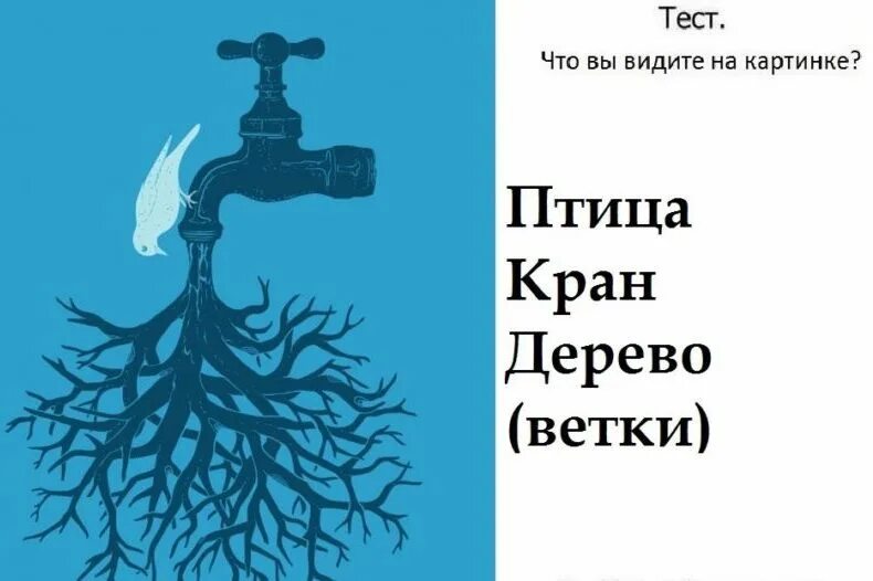 Что видишь на картинке. Чтотвы видите на картинке. Тестирование что видите на картинке. Что первым увидели на картинке.