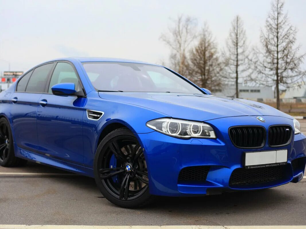 BMW m5 f10. BMW m5 v (f10). M5 f10 синяя. BMW m5 f10 синяя новая. Купить бмв 5 м