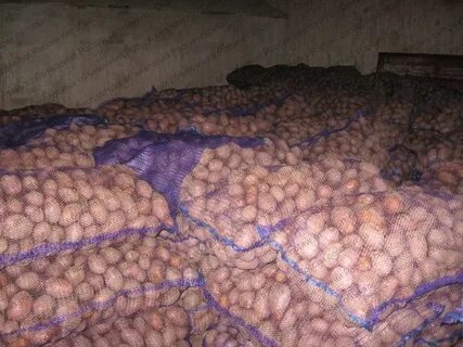 Мальково картофель