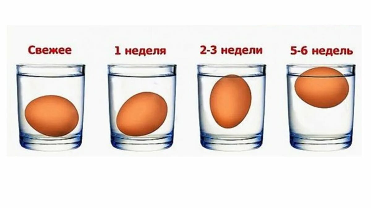 Срок хранения свежих яиц. Свежесть яиц в воде. Определение свежести яиц. Как определить свежесть яйца в воде.