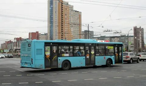 63 автобус спб