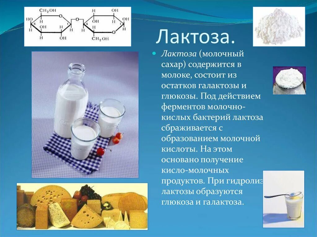 Какие вещества содержатся в молоке формула. Лактоза. Лактоза в молочных продуктов. Лактоза молочный сахар. Лактоза и молочнокислые бактерии.