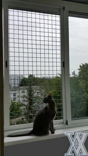 Металлические сетки на окна