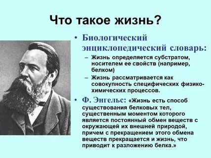 Понятие и определение жизни