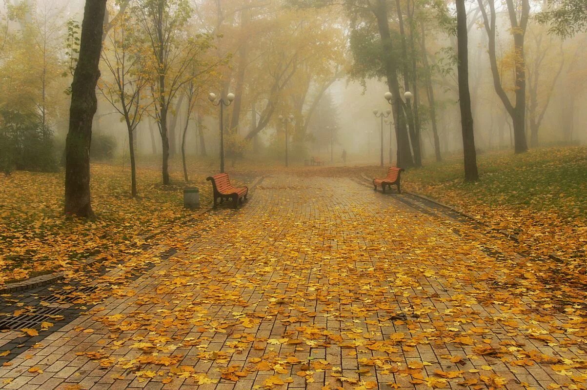 Осень дождь. Дождливый день в осеннем парке. Осень парк дождь. Осенний пасмурный парк. По настоящему осенний дождь