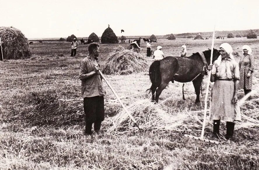 Деревня земледельцев