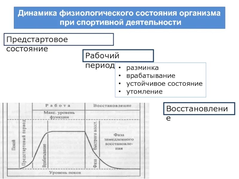 Состояние организма после. Состояния организма при спортивной деятельности. Характеристика предстартового состояния. Физиологическое состояние организма. Физиологические состояния , характерные при спортивной деятельности.