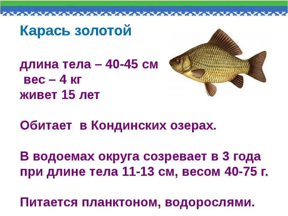 Плотность рыбы. Плотность посадки карпа в узв. Таблица цен на рыбу. Плотность рыбы. Нормы посадки рыбы в узв.