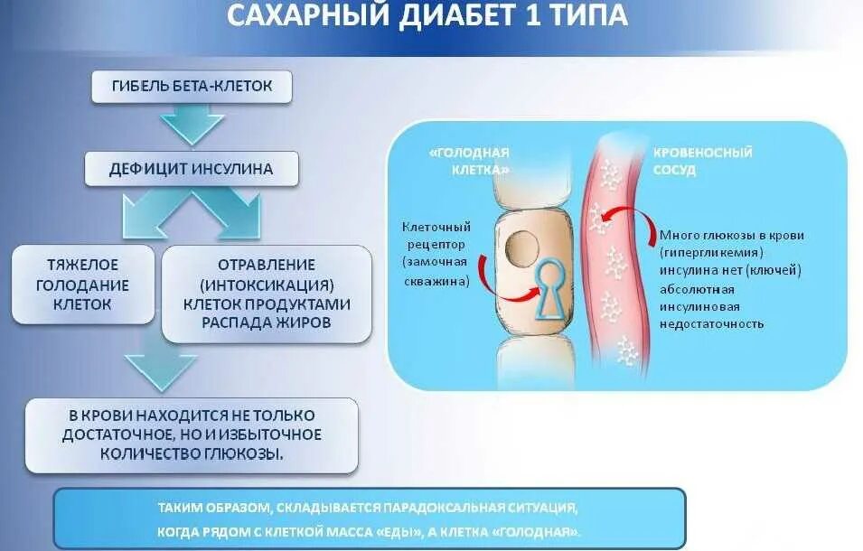 При недостатке инсулина развивается заболевание. Диабет 1 степени сахар. Сахарный диабет 2 типа 1 стадия. Сахар при сахарном диабете 1 типа. Первые симптомы сахарного диабета 1 типа.