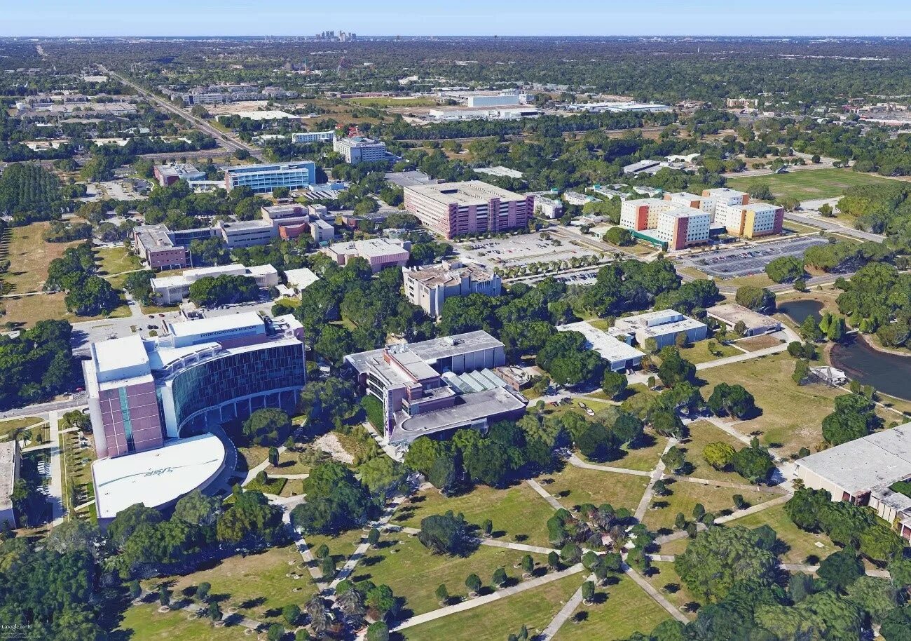 University of South Florida, университет University of South Florida. Кампус США. Кампус американского университета. Университеты в Америке с кампусом.