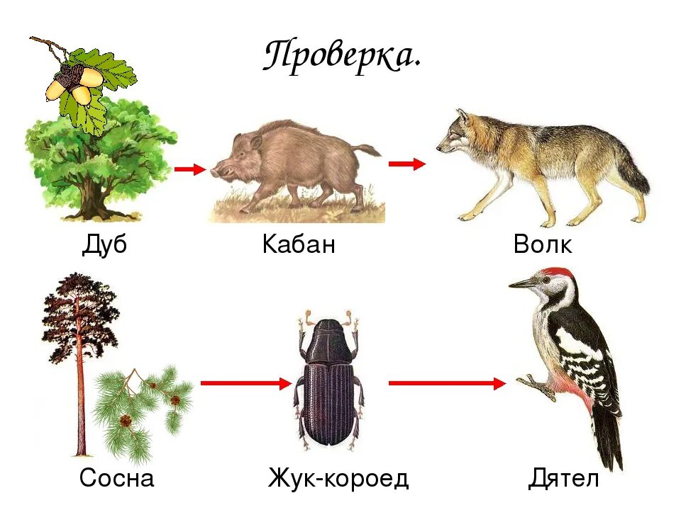 Какие звенья в цепях питания