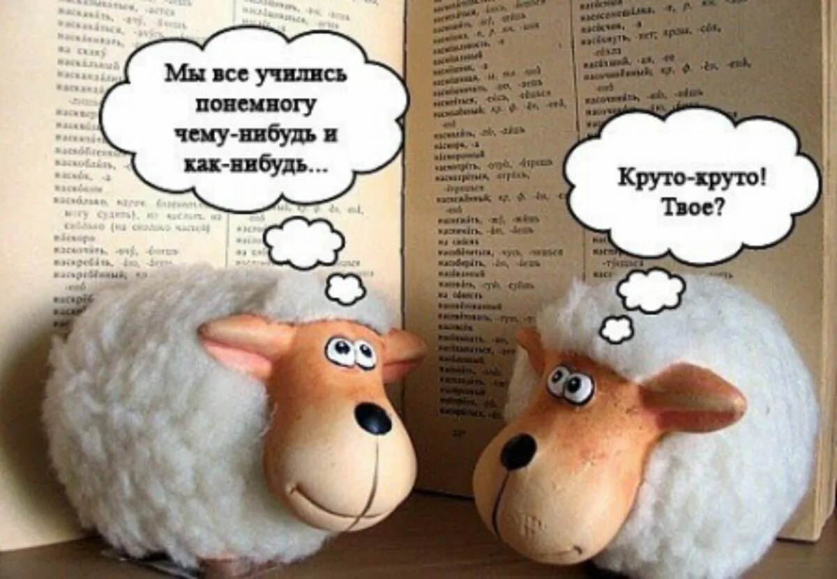 Назови мне как нибудь