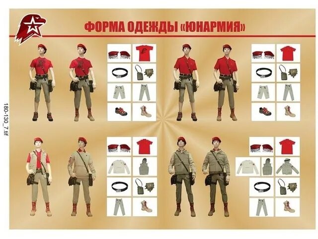 Программ юнармейцев. Юнармия порядок ношения формы. экипировка юнармейцев. форма одежды юнармии. юнармия костюм.