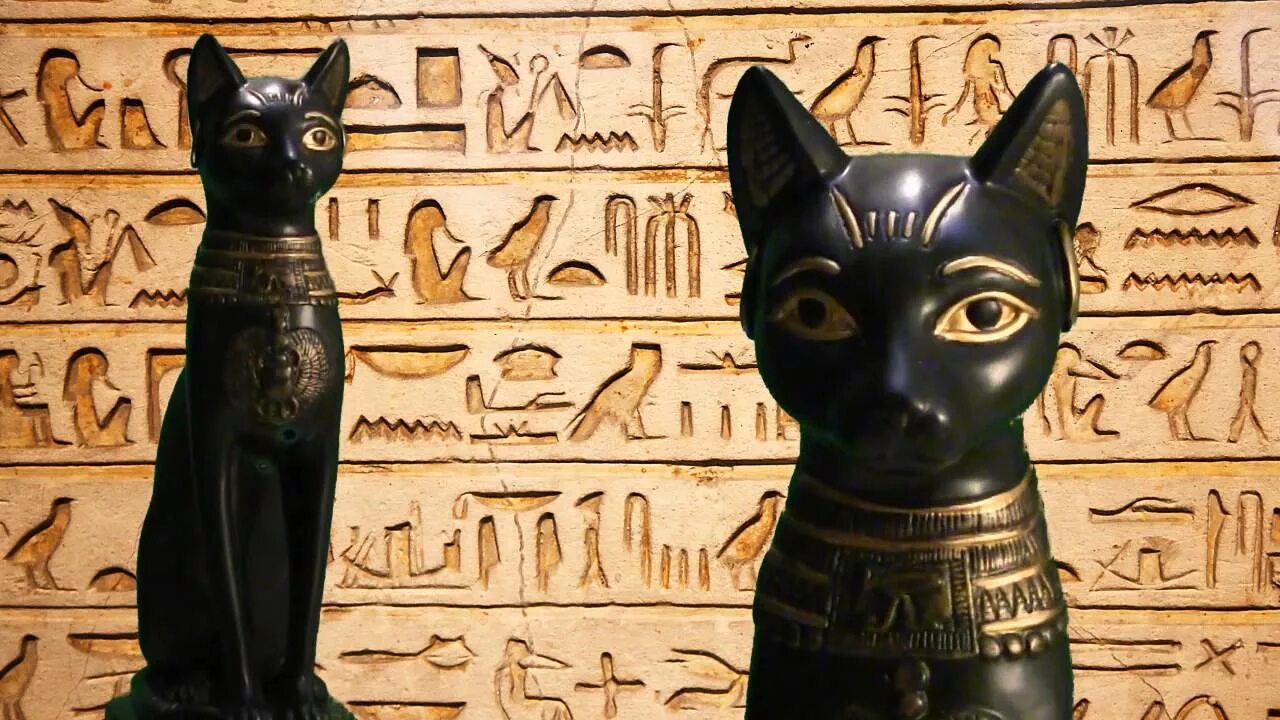 Древние кошки Египта. Кошка Египетская fmbcbycrfz. Храмовые кошки Египта. Священная кошка в древнем Египте. Музыка древнего египта для кошек