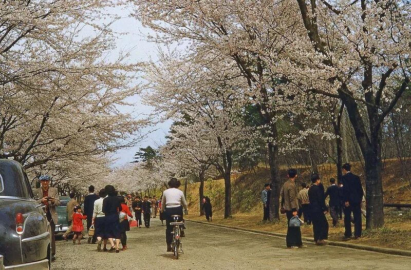 Япония 1950-х. Токио 1950. Токио 1950-х. Токио 1950 год.
