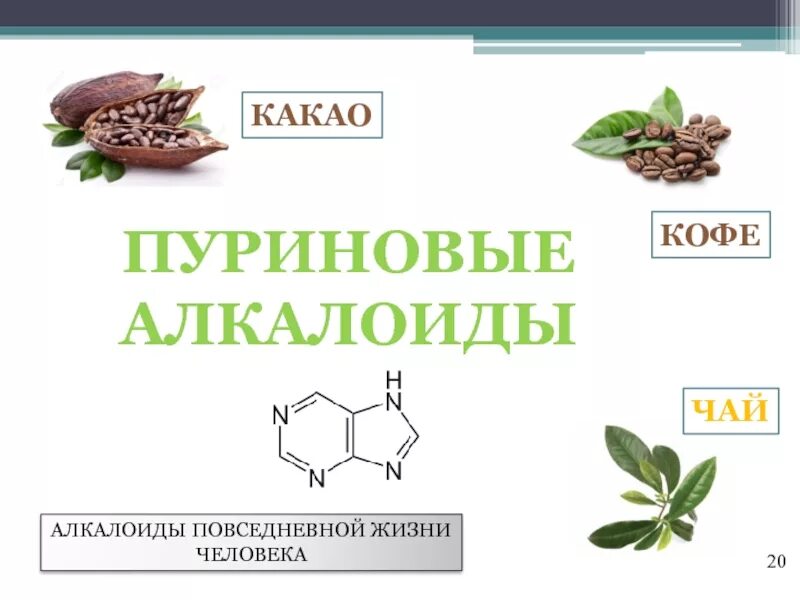 Алкалоиды это. Алкалоиды растительного происхождения. Пуриновые алкалоиды. Алкалоиды это простыми словами. Алкалоид в чайных листьях