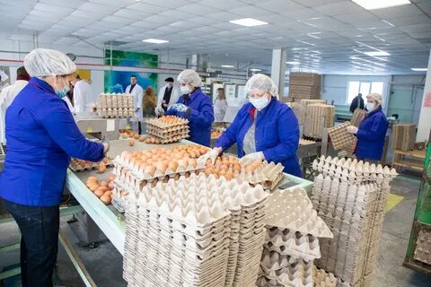 Акционерное общество птицефабрика
