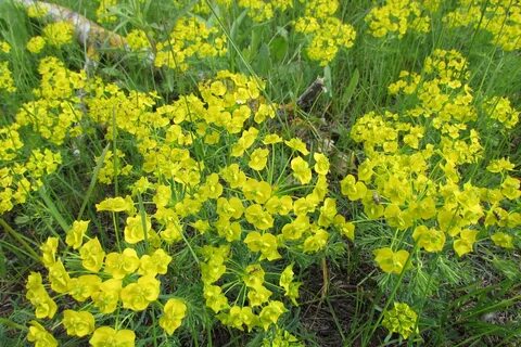 i?id=89cf8274e04b8dcbe6596e64331f47c6db2