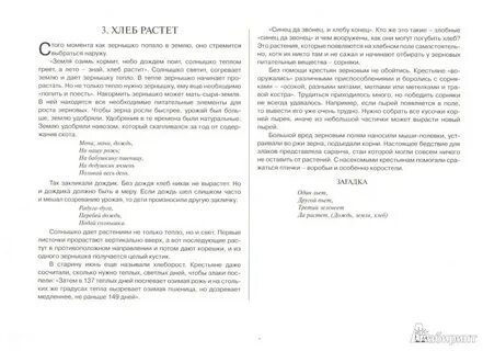 Конструирование как люди вырастили хлеб