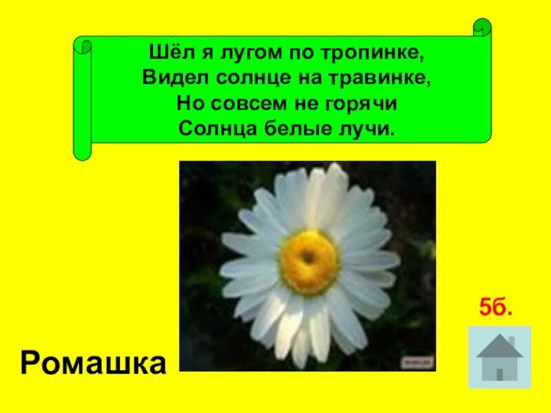 Солнце с белыми лучами изложение 6 класс. Шёл я лугом по тропинке видел солнце на травинке. изложение солнце с белыми лучами. краткое изложение солнце с белыми лучами. рассказ солнце с белыми лучами.