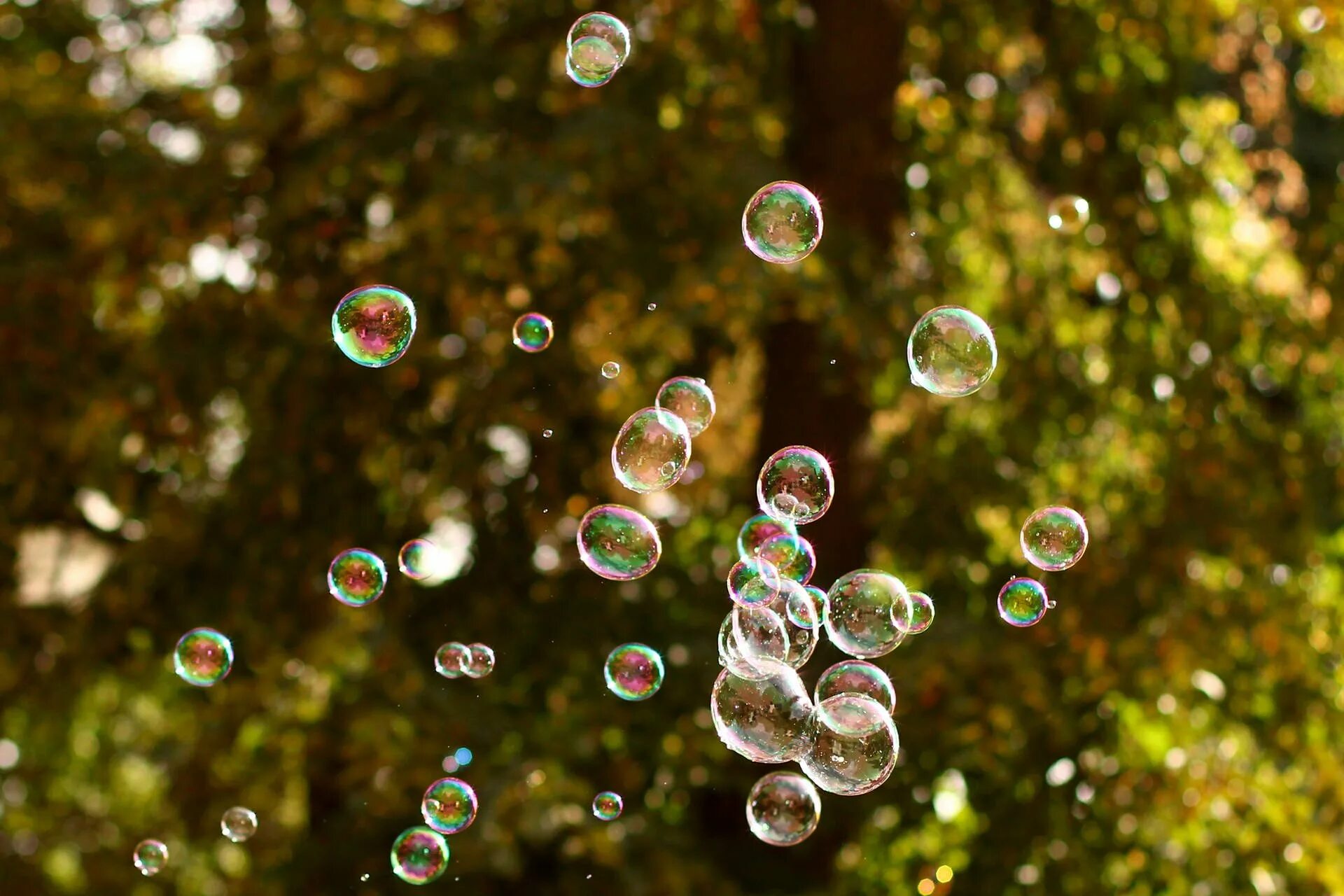 Пузырьки 20. Мыльные пузыри. Мыльные пузыри лето. Мыльные пузыри на природе. Пузыри в природе.