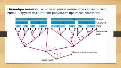 Выберите верные утверждения в результате эволюции звезды