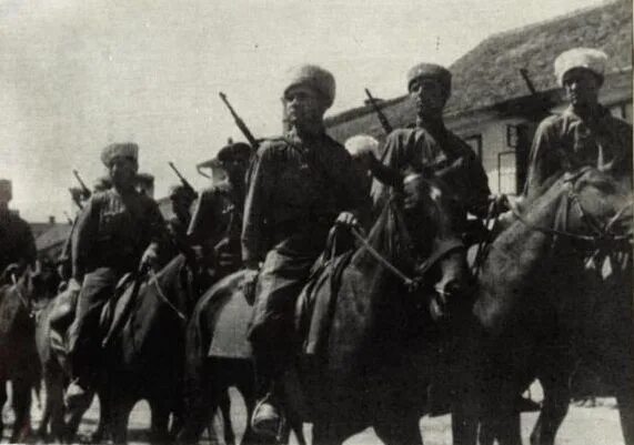 Что такое кав. Что такое кав