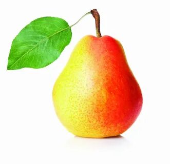 Попок үлкен дилдо бар порно