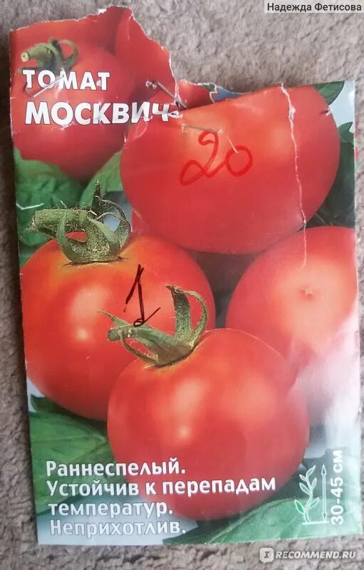 Томат москвич отзывы урожайность. СЕДЕК томат Москвич. Томат Москвич рассада. Томат Москвич (открытый грунт). Помидоры Москвич фото.