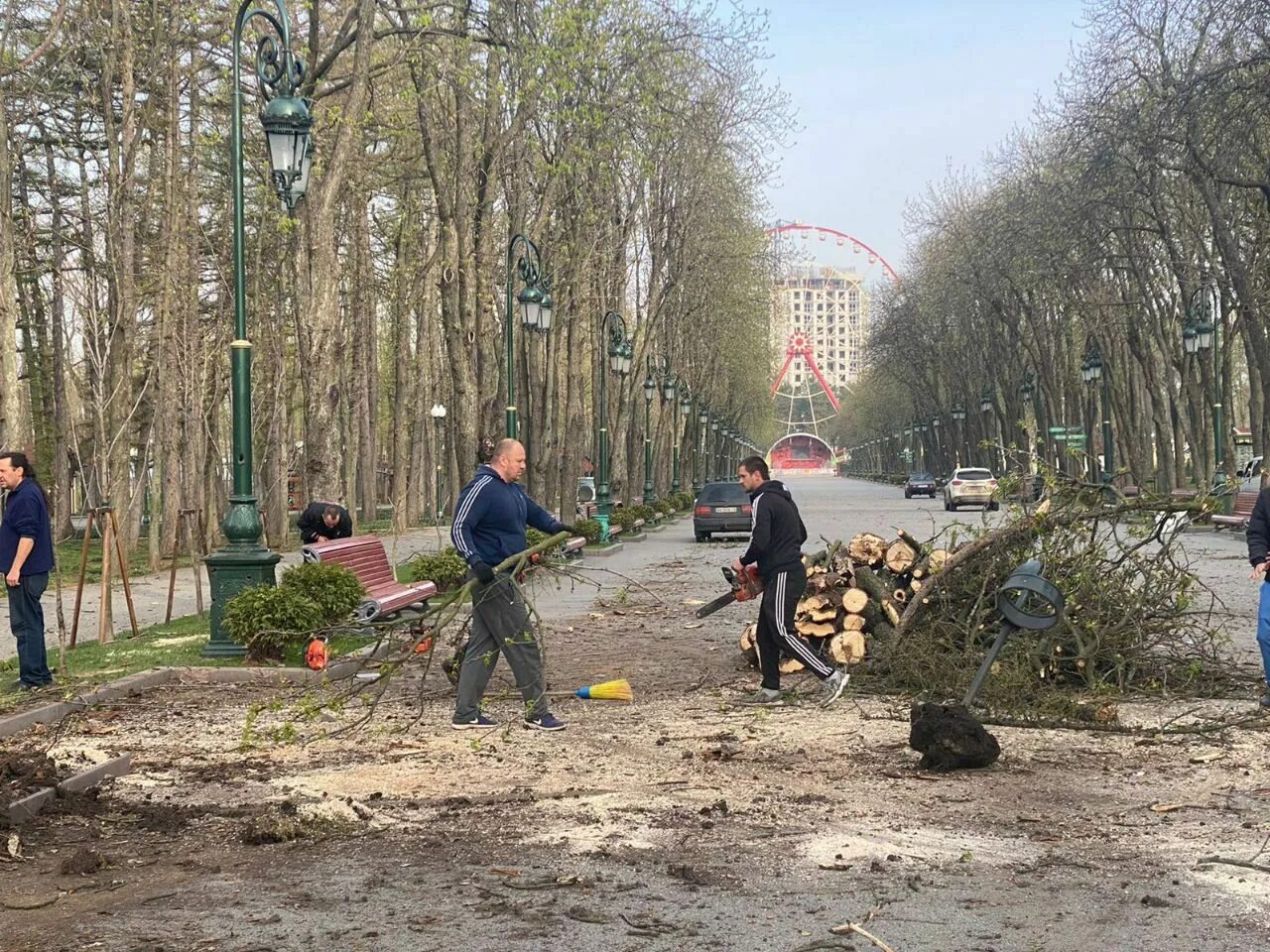 Новости харькова сегодня свежие события. Парк Горького Харьков после обстрела. Харьков парк. Парк апрель. Деревья в сквере.