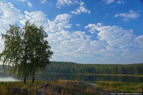 Курганская область урал