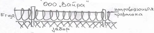 Забор из колючей проволоки чертеж. Колючая проволока чертеж. Схема крепления колючей проволоки типа Егоза. Забор с колючей проволокой чертеж.