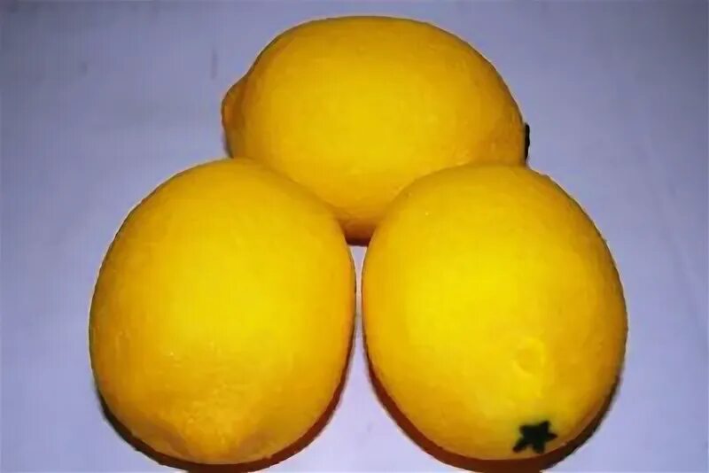 Фото лимона на белом фоне. 6 lemons. 7 лимонов. Лимоны 5 штук. Отдушка лимон.