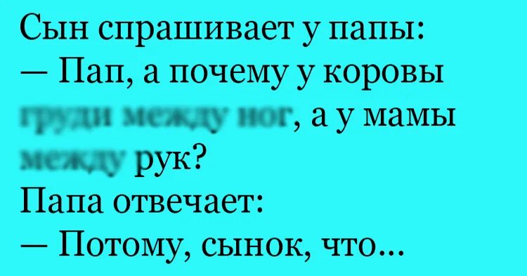 Вправо принимаем останавливаемся. Анекдот про корову. Шутки про коров. Анекдоты про корову смешные. Анекдоты про Быков и коров.