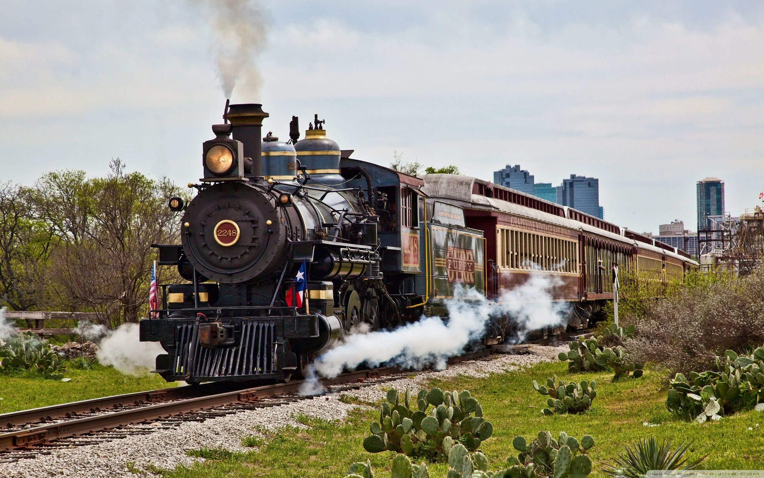 Train forced