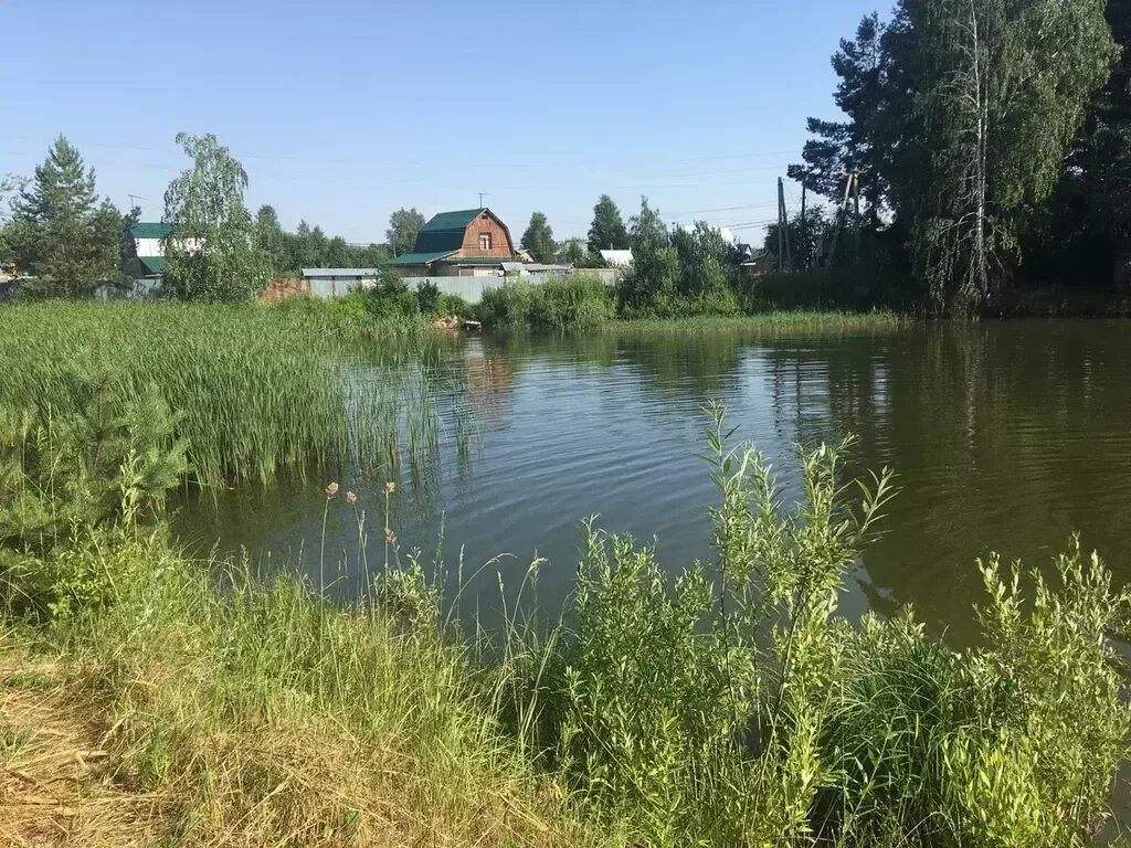 Снт озера купить. СНТ Кристалл Пенза. СНТ Кристалл Бессоновский район. Озеро СНТ Кристалл. СНТ Кристалл Пенза председатель.