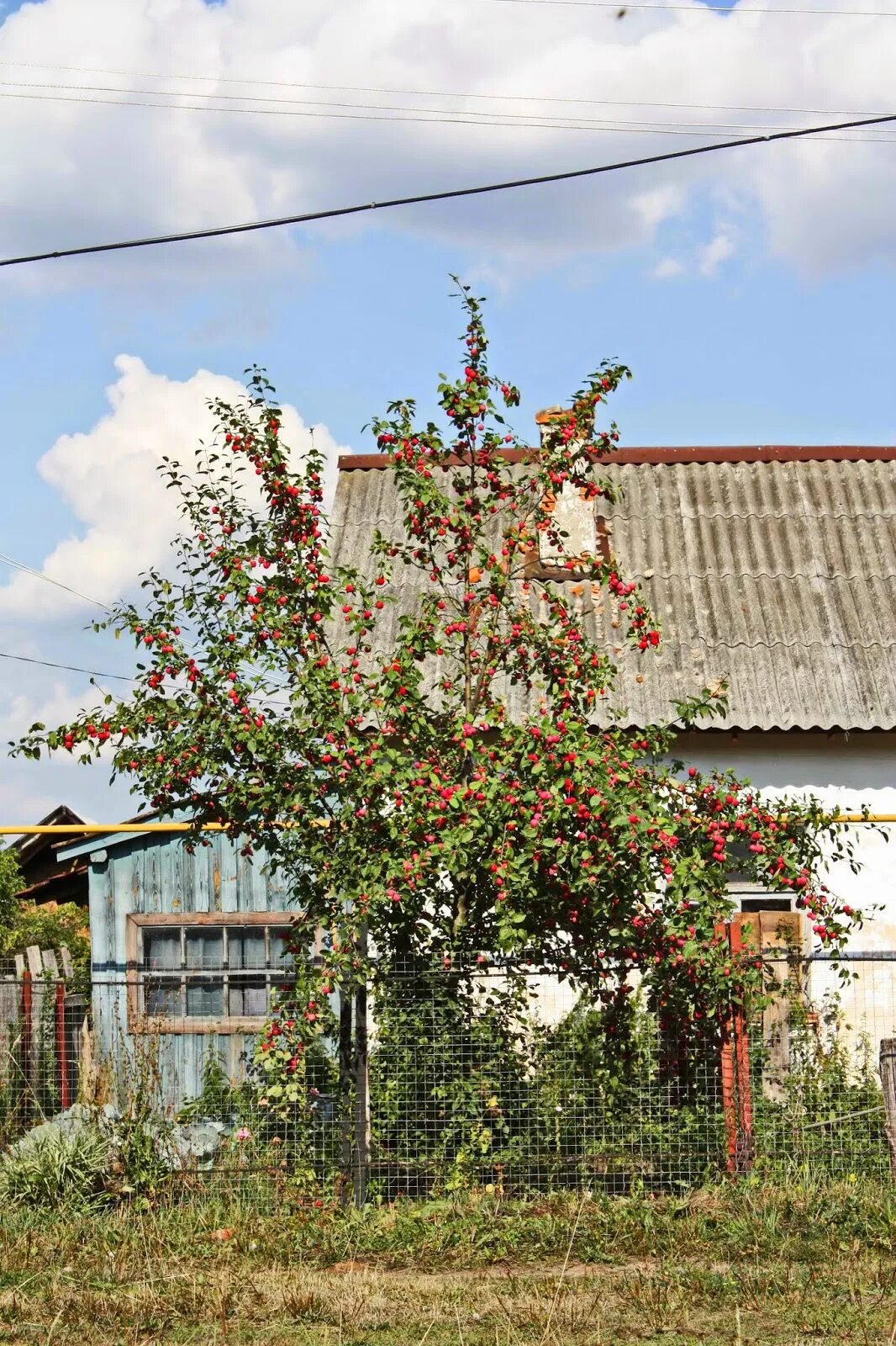Поселок инсар