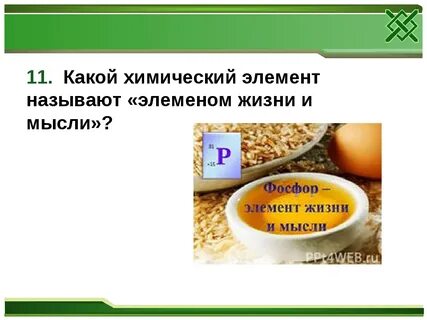Какие элементы называют элементами жизни