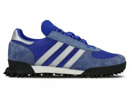 Adidas tr