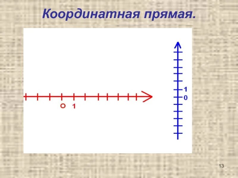 Покажи координатную прямую. Покажи координатную прямую