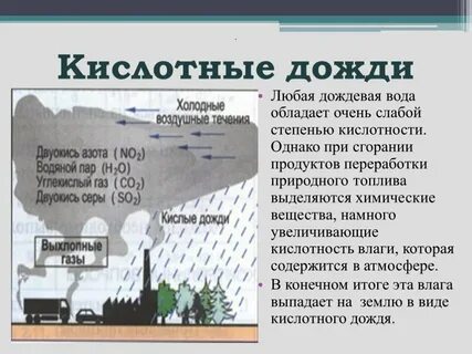 Как правильно дождевая или дождевая
