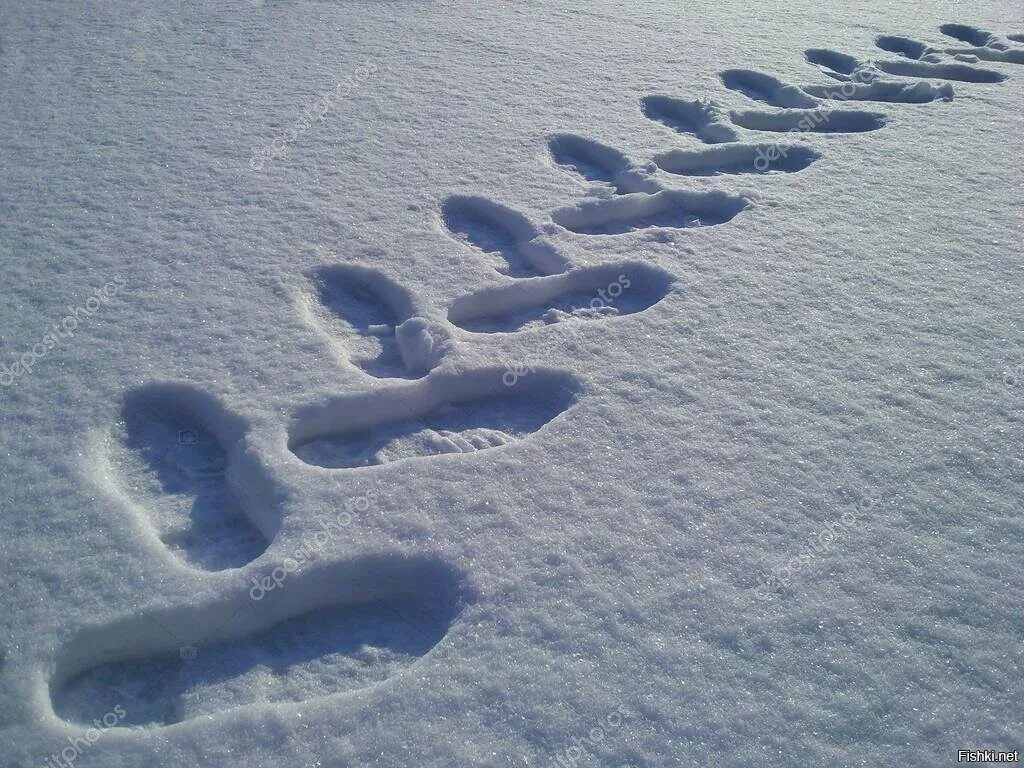 След год 2021. Следы на снегу. Человеческие следы на снегу. Зимние следы. Отпечатки ног на снегу.