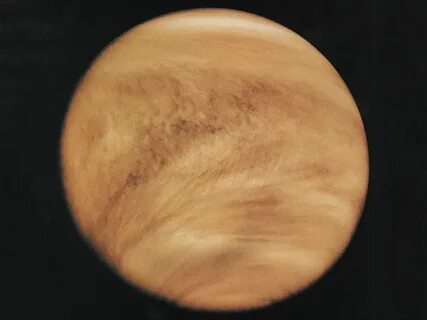 Venus des