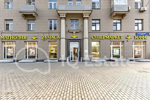 Магнолия кутузовский