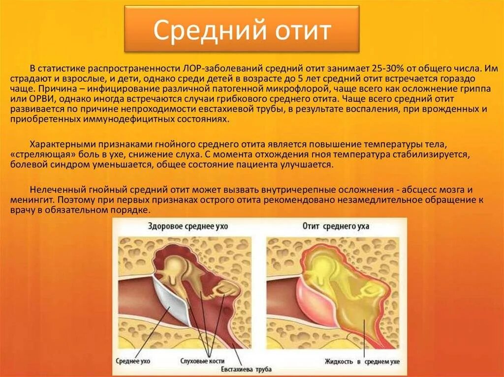 Температура в ухе у взрослого