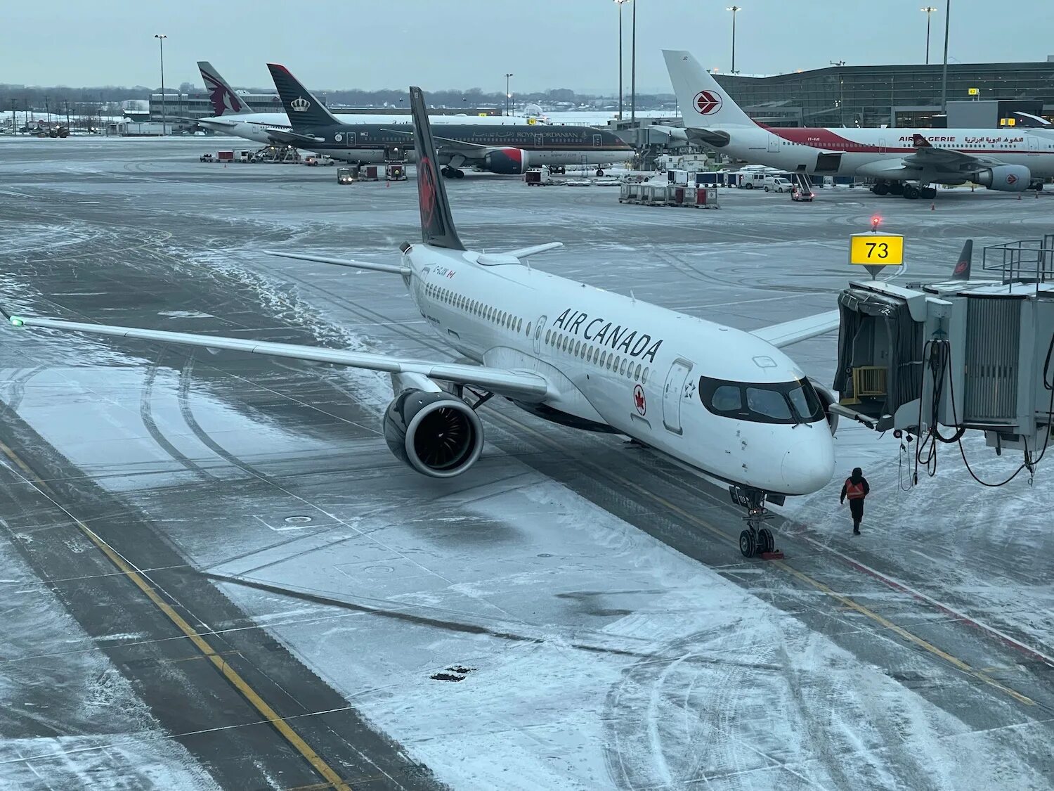 Air canada cargo. Авиалайнеры канадские. Самолет над канадой. Эйр канада. Авиакомпания эйр канада.