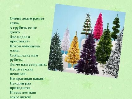Сколько растет елка в год